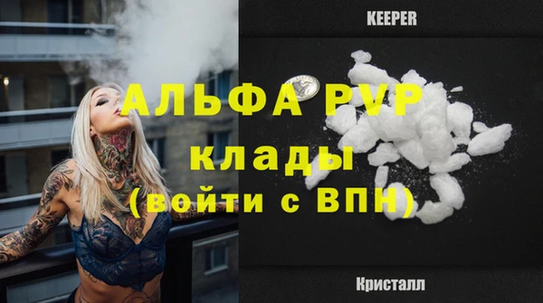 амф Пестово