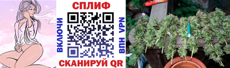 закладка  нарко площадка телеграм  Марихуана конопля  Пролетарск  МЕГА ONION 